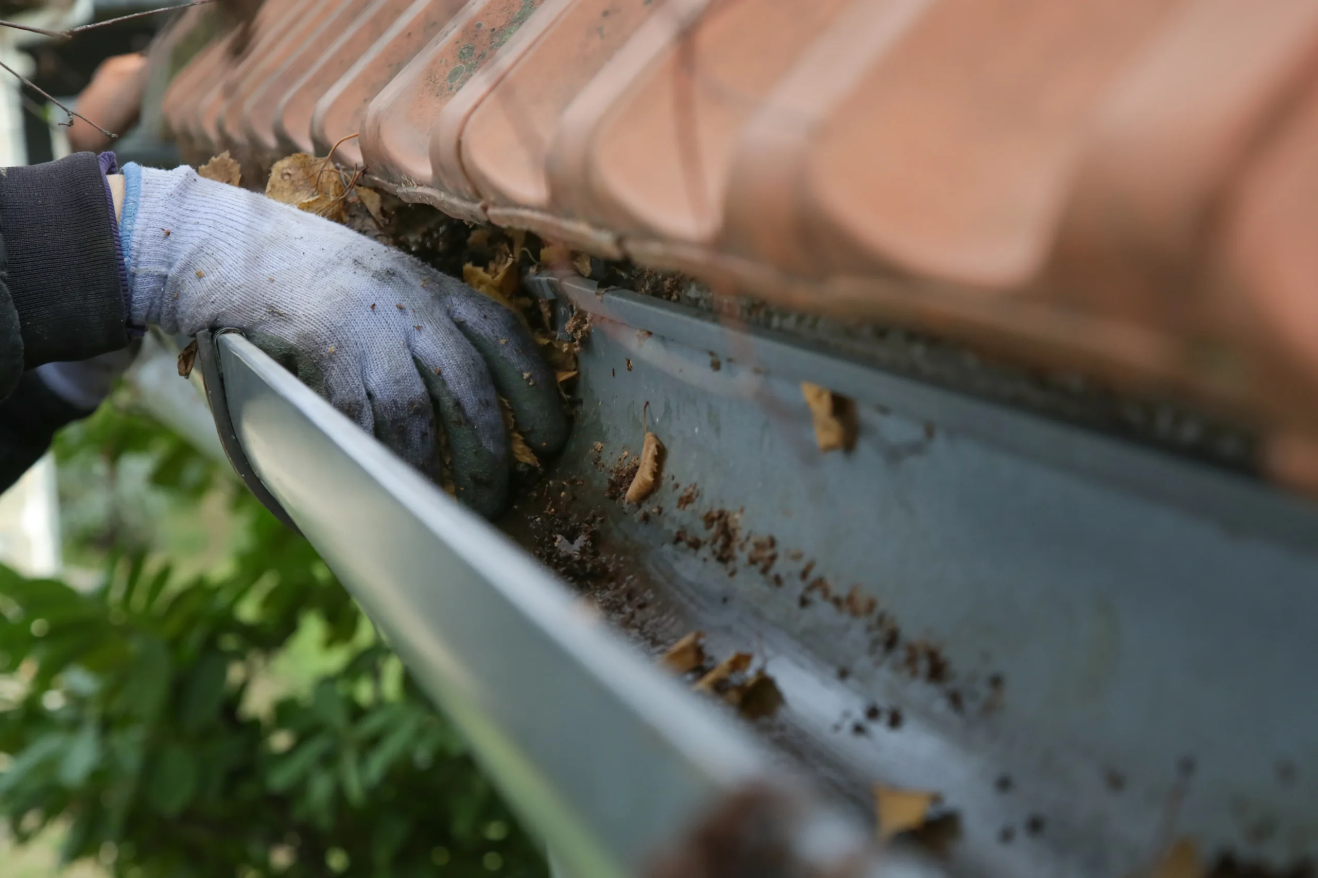 Gutter cleaning in Harrow