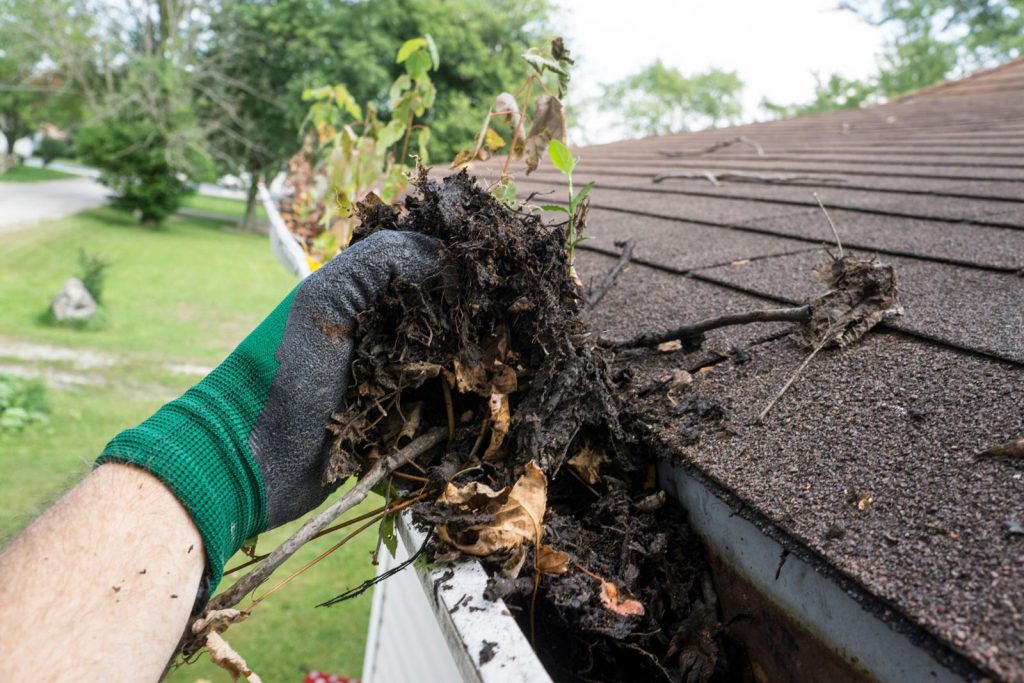 gutter cleaning before winter