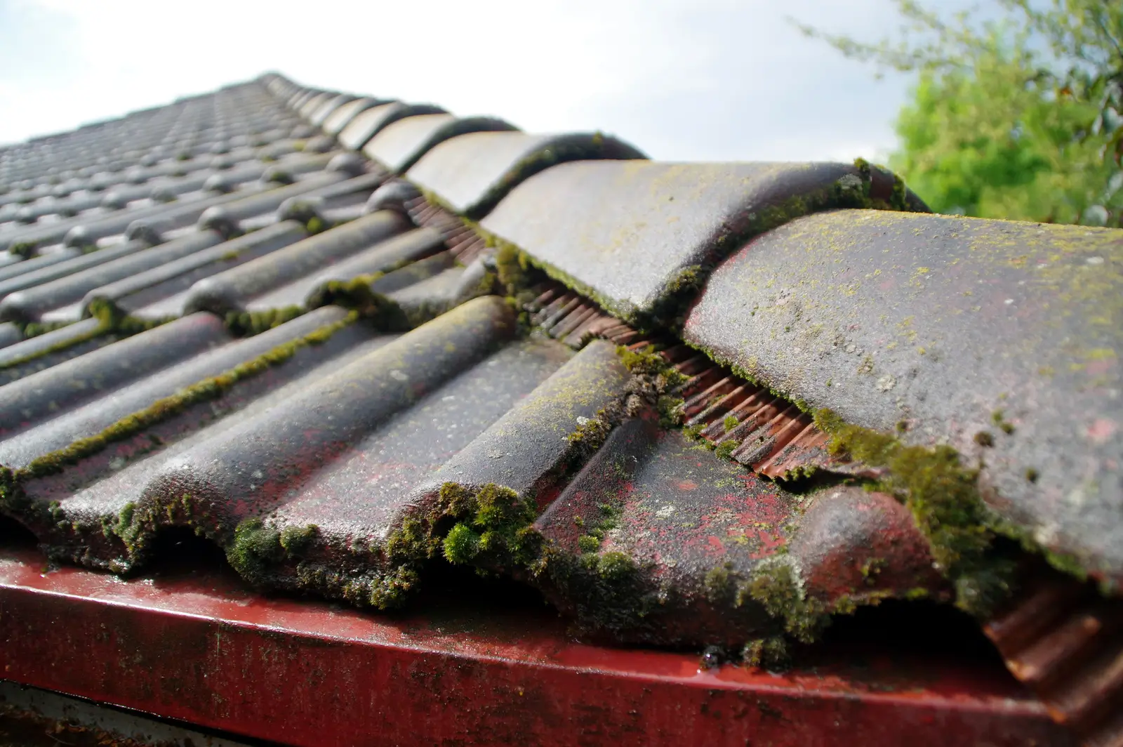 how to get rid of moss on roof tiles