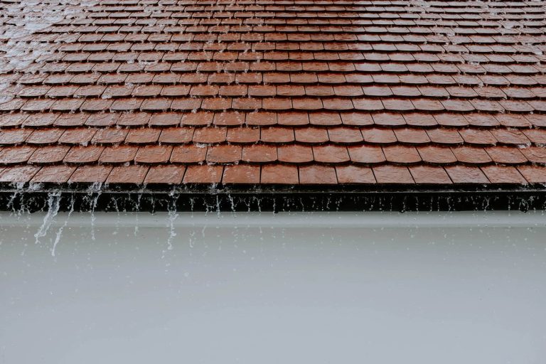 How Long Does Roof Cleaning Take? What to Expect on the Day