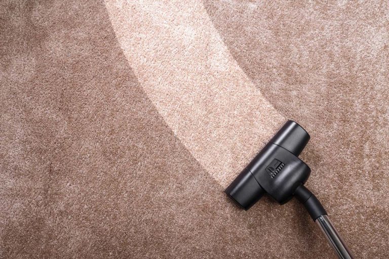 How Often Should You Have Your Carpets Professionally Cleaned?