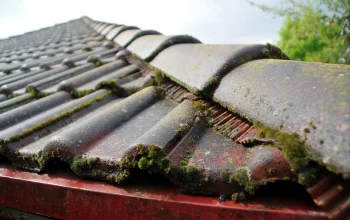 how to get rid of moss on roof tiles